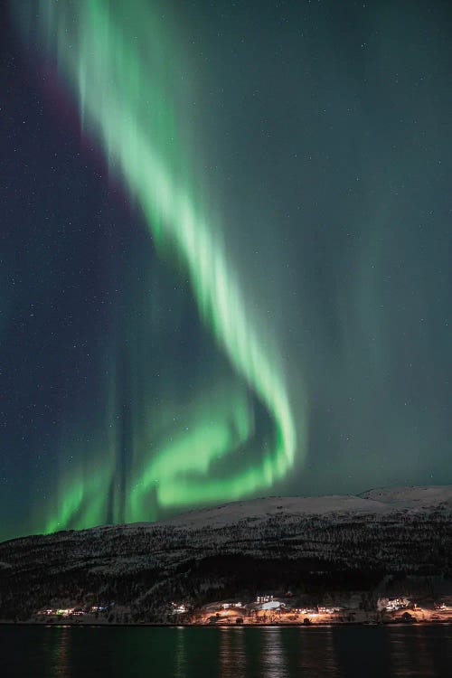 Northern Lights Show