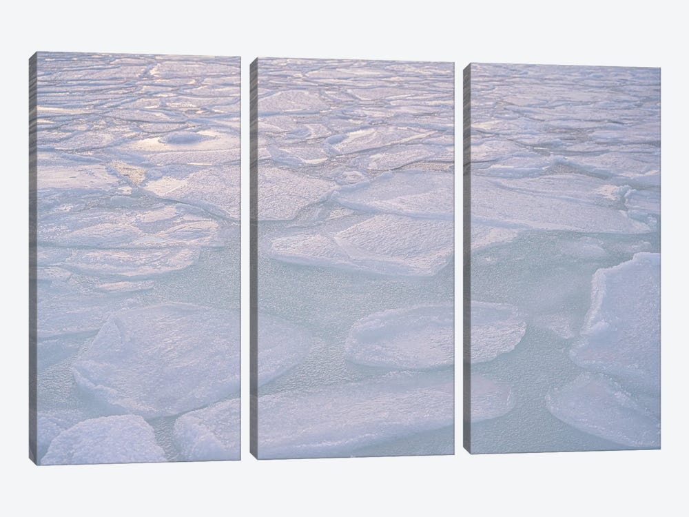 Frozen Lake by Henrike Schenk 3-piece Canvas Art