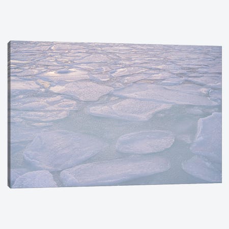 Frozen Lake Canvas Print #HSK254} by Henrike Schenk Canvas Print