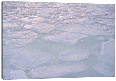 Frozen Lake Canvas Art Print - Henrike Schenk