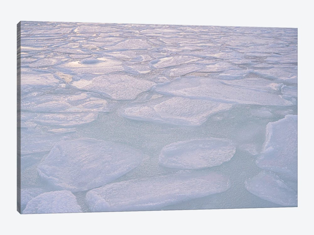 Frozen Lake by Henrike Schenk 1-piece Canvas Art