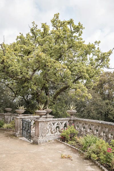Henrike Schenk: Monserrate Garden by Henrike Schenk