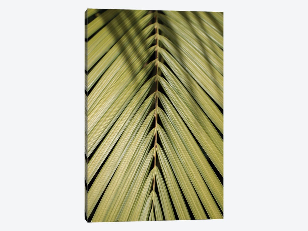 Tropical Green by Henrike Schenk 1-piece Canvas Art Print