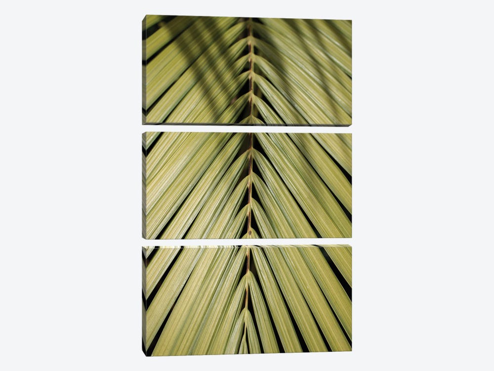 Tropical Green by Henrike Schenk 3-piece Canvas Print
