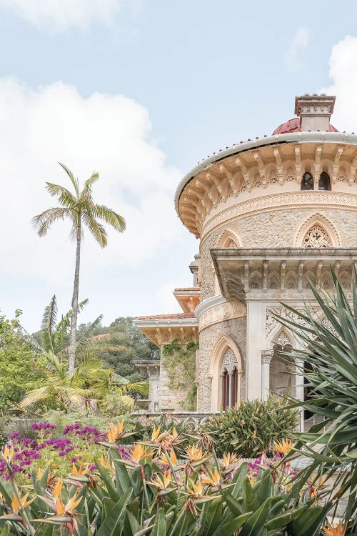 Monserrate Palace Palm Tree