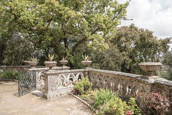 Henrike Schenk: Monserrate Garden II by Henrike Schenk