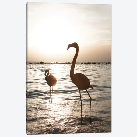 Flamingo's At Sunset Canvas Print #HSK27} by Henrike Schenk Canvas Art Print