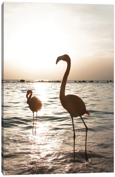 Flamingo's At Sunset Canvas Art Print - Flamingo Art