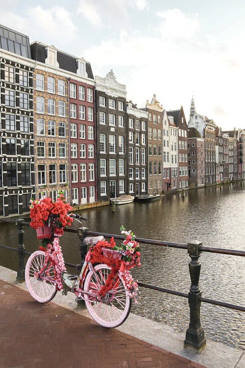 Pink Bike In Amsterdam