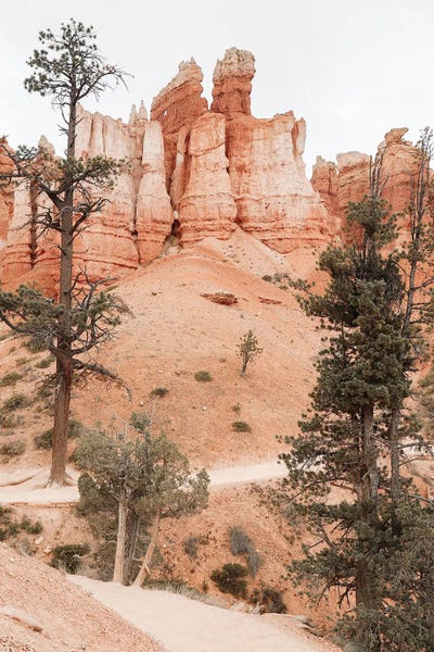 Bryce Canyon National Park: Bryce Canyon by Henrike Schenk