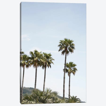 Palmtrees Of California Canvas Print #HSK49} by Henrike Schenk Canvas Wall Art