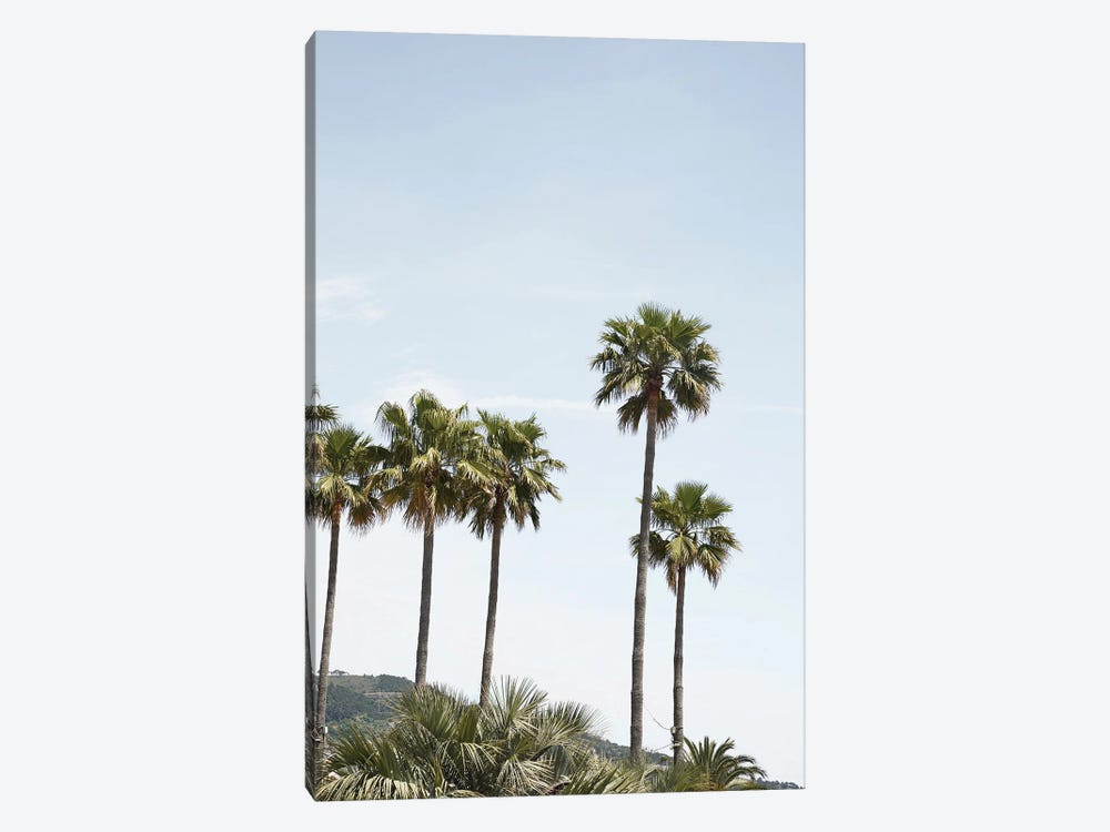 Palmtrees Of California by Henrike Schenk 1-piece Canvas Art