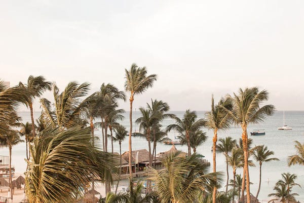 Aruba: Palm Beach Aruba by Henrike Schenk