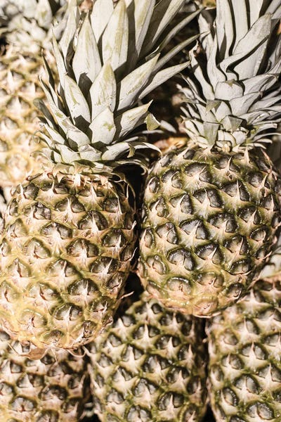 Pineapples In The Sun by Henrike Schenk art print