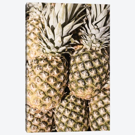 Pineapples In The Sun Canvas Print #HSK53} by Henrike Schenk Art Print