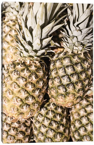 Pineapples In The Sun Canvas Art Print - Pineapple Art