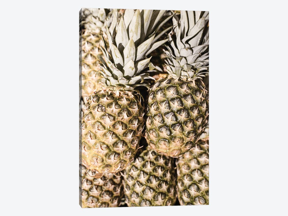 Pineapples In The Sun by Henrike Schenk 1-piece Canvas Print
