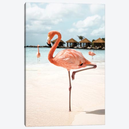 Flamingo On Aruba Island Canvas Print #HSK57} by Henrike Schenk Canvas Wall Art