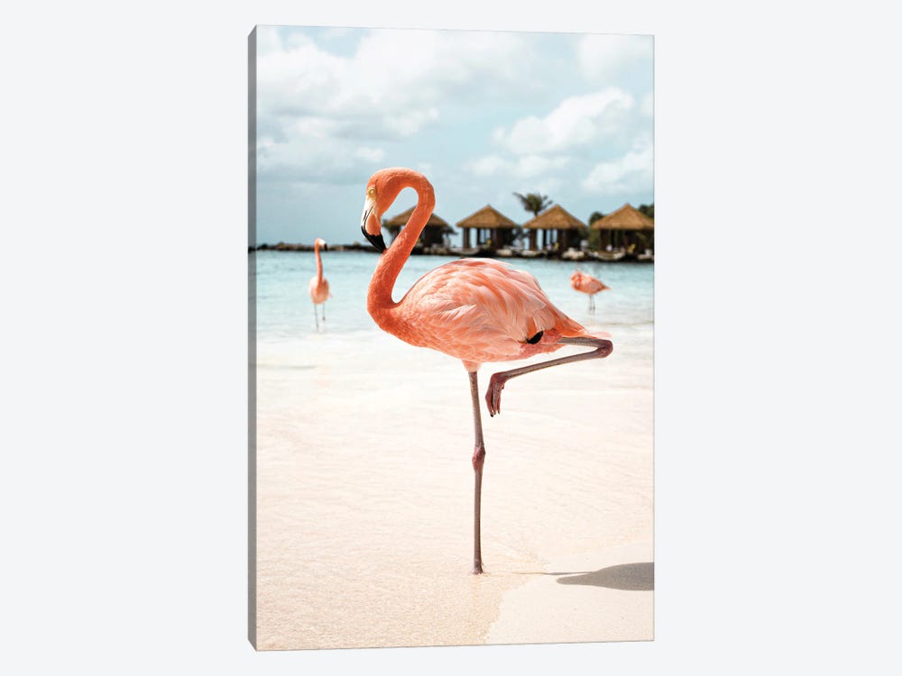 Flamingo On Aruba Island by Henrike Schenk 1-piece Canvas Print