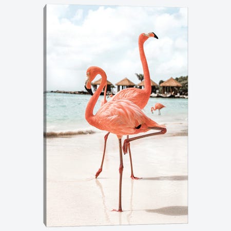 Flamingo's On Aruba Island Canvas Print #HSK58} by Henrike Schenk Art Print