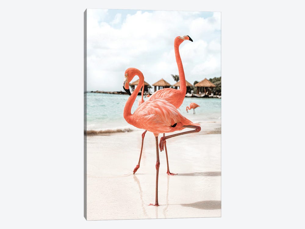 Flamingo's On Aruba Island by Henrike Schenk 1-piece Canvas Wall Art
