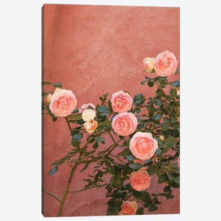 Pink Roses Blossom Canvas Print #HSK61} by Henrike Schenk Canvas Wall Art