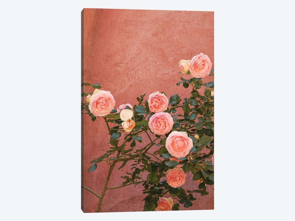 Pink Roses Blossom by Henrike Schenk 1-piece Canvas Wall Art