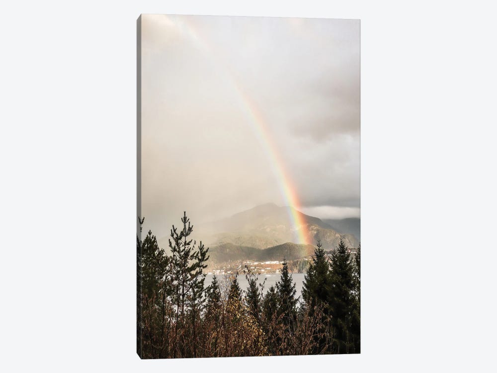 Rainbow In Norway by Henrike Schenk 1-piece Canvas Artwork