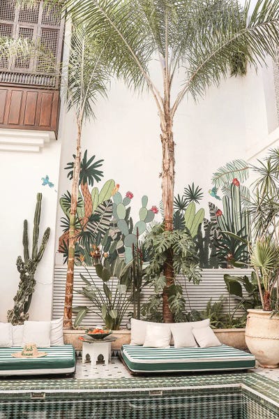 Monsteras: Botanical Riad In Marrakech by Henrike Schenk