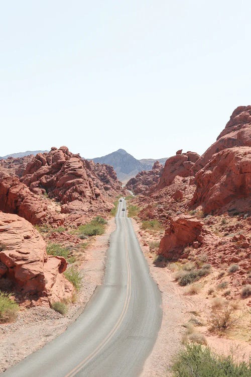 Roads Of Nevada by Henrike Schenk wall art