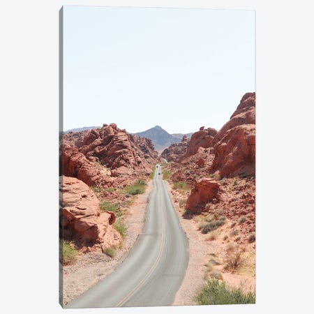 Roads Of Nevada Canvas Print #HSK72} by Henrike Schenk Canvas Art Print