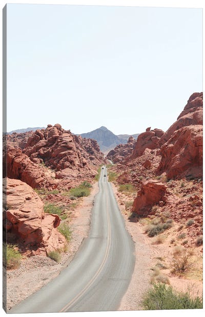 Roads Of Nevada Canvas Art Print - Travel Journal