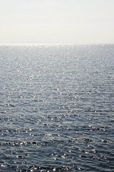 Sunkissed Ocean by Henrike Schenk canvas print