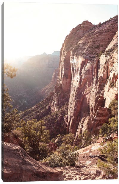 Zion National Park View Canvas Art Print - Take a Hike