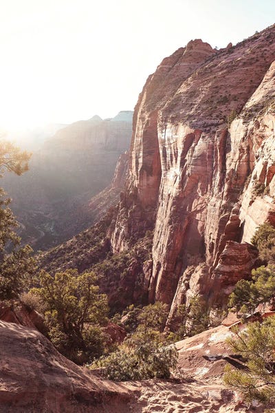 Take A Hike: Zion National Park View by Henrike Schenk