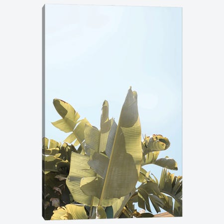 Tropical Banana Plant Leaves Canvas Print #HSK85} by Henrike Schenk Canvas Print