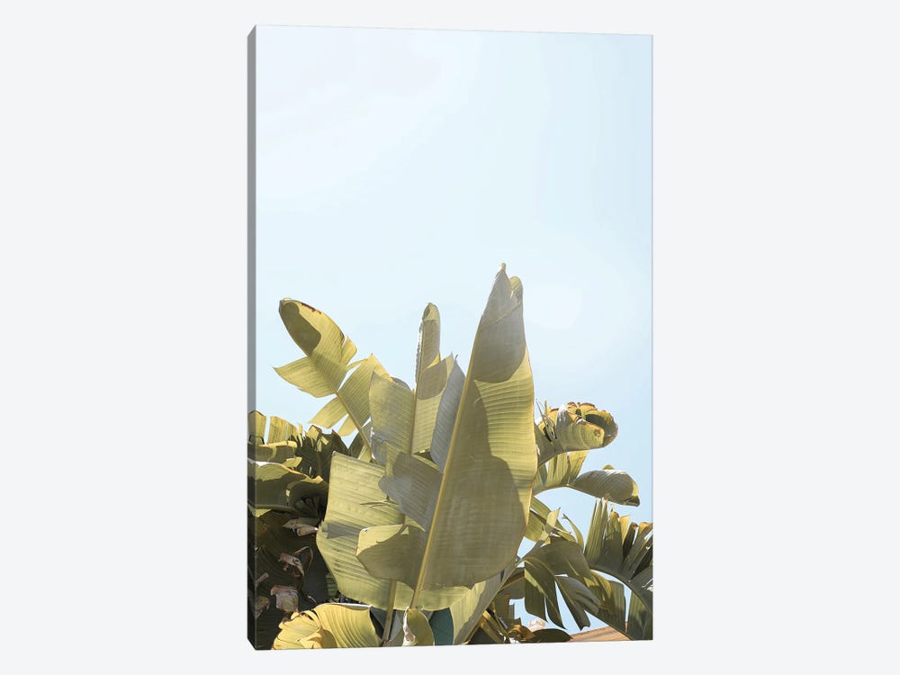 Tropical Banana Plant Leaves by Henrike Schenk 1-piece Canvas Art