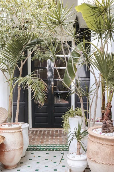 Marrakesh: Tropical Entry In Marrakech by Henrike Schenk