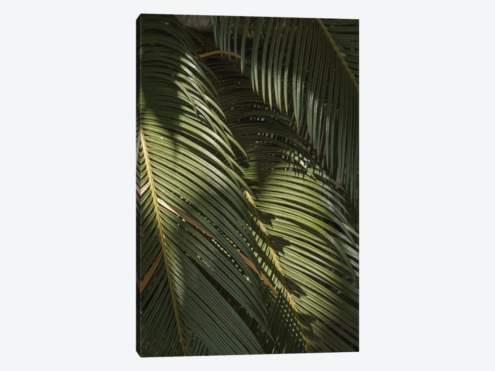 Tropical Palm Leaves by Henrike Schenk 1-piece Canvas Wall Art