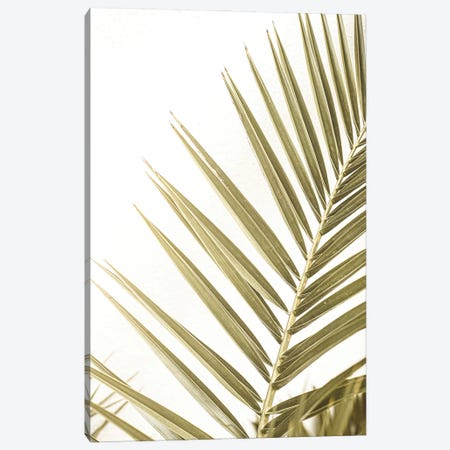 Leaf Of A Palm Canvas Print #HSK88} by Henrike Schenk Canvas Wall Art