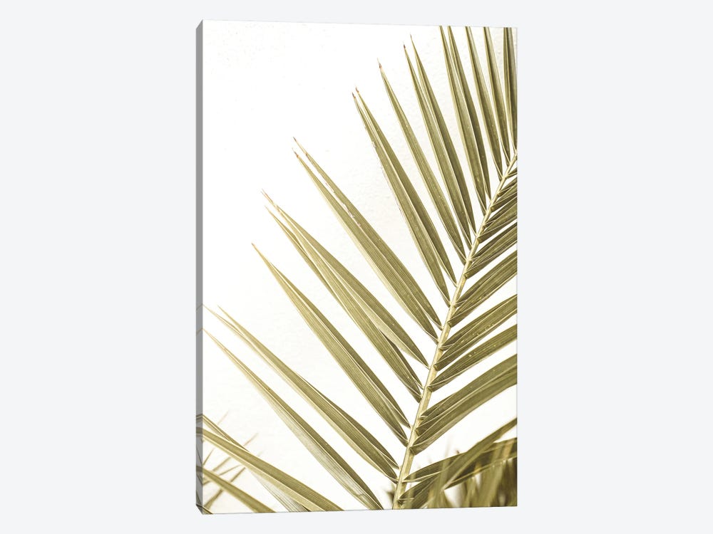 Leaf Of A Palm by Henrike Schenk 1-piece Canvas Print