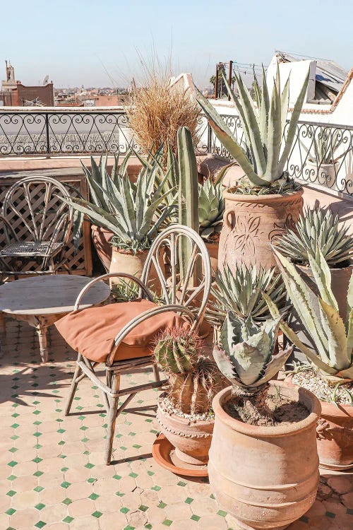 Botanical Rooftop In Marrakech