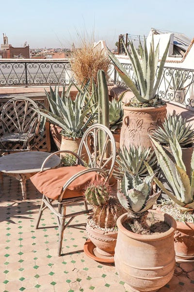 Marrakesh: Botanical Rooftop In Marrakech by Henrike Schenk