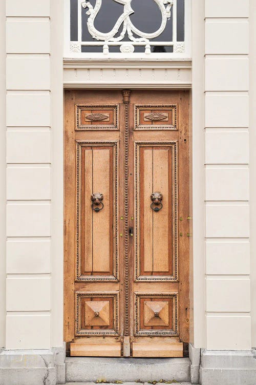 Wooden Front Door In Holland