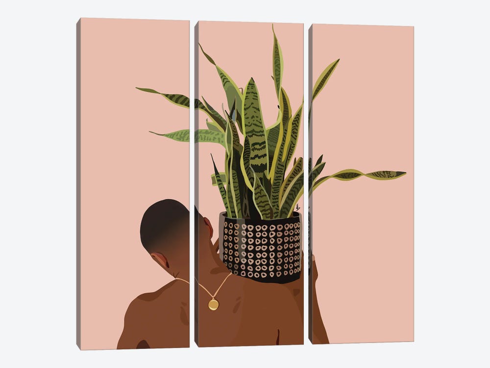 Plant Daddy Snake Plant by Artpce 3-piece Canvas Art