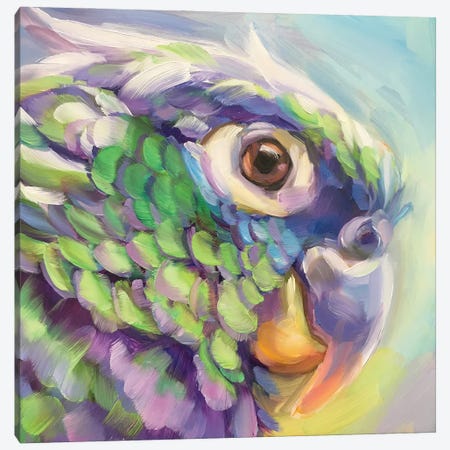 Mini Parrot Study V Canvas Print #HSR10} by Holly Storlie Canvas Art