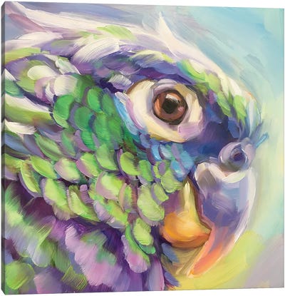 Mini Parrot Study V Canvas Art Print - Parrot Art