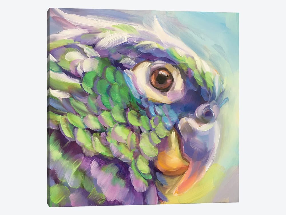 Mini Parrot Study V by Holly Storlie 1-piece Art Print