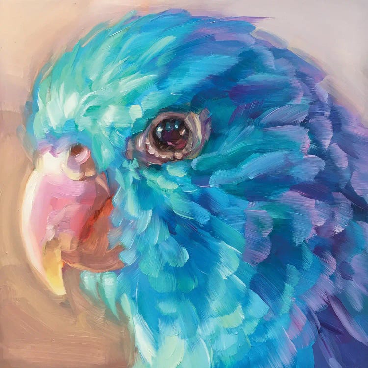 Mini Parrot Study IX