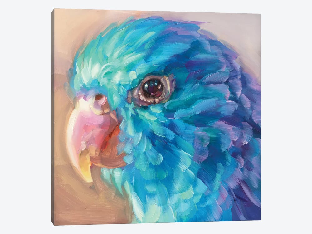 Mini Parrot Study IX by Holly Storlie 1-piece Canvas Art